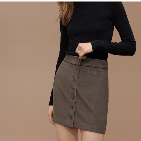 Aritzia Dresses & Skirts - Wilfred Free Karmen Skirt